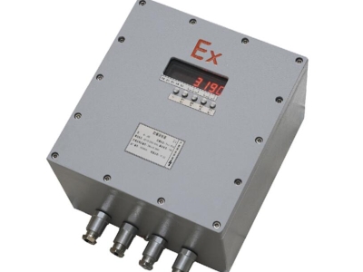 ?XK3190-C8G工業級防爆秤稱重儀表 防爆控制儀表